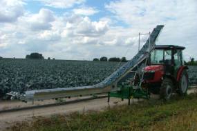 Conveyor for loading vegetables
